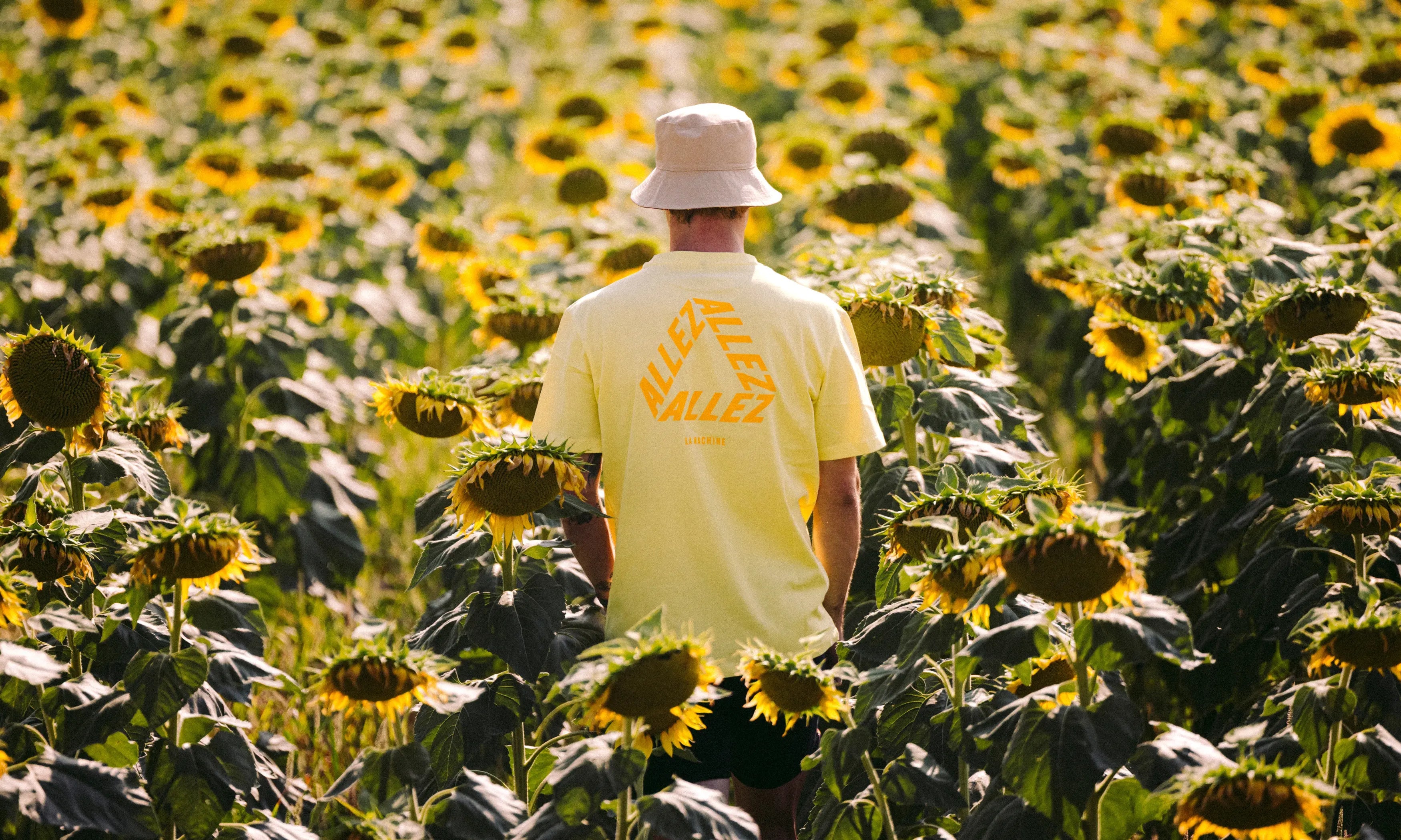 A person in a yellow shirt and beige bucket hat stands in a field of sunflowers, facing away from the camera. The sun is shining, and the shirt has ALLEZ ALLEZ ALLEZ printed on the back.